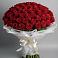 Букет 101 Красная роза Блэк Мэджик в Дебесы