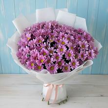 Букет цветов из:  Хризантемы в Дебесы