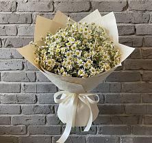 Букет цветов из:  Ромашки в Дебесы