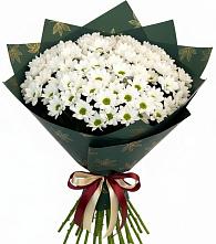 Букет цветов из:  Хризантемы в Дебесы