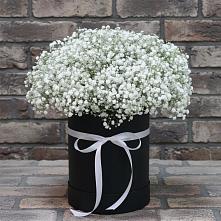 Цветочная композиция из Гипсофила в шляпной коробке #REPLACE_PRED# Дебесы