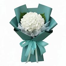 Букет цветов из:  Гортензия в Дебесы